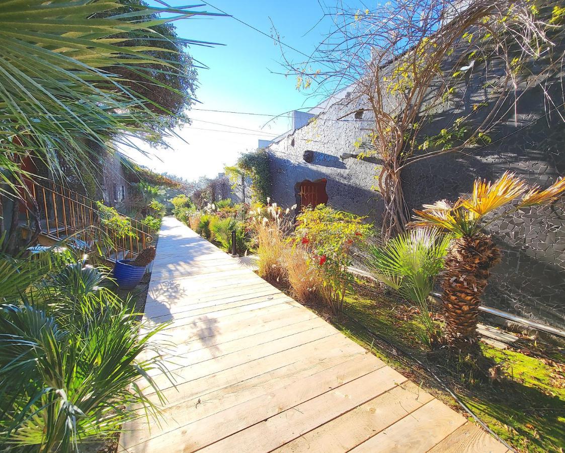 Bandol - Residence Premium Jardin, Piscine Et Garage エクステリア 写真